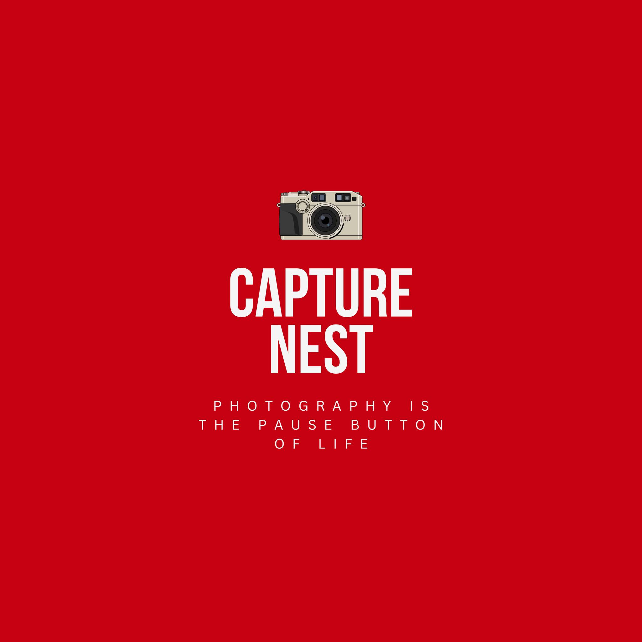 Capture Nest Logo